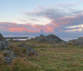 img 4279