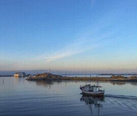mortholmen